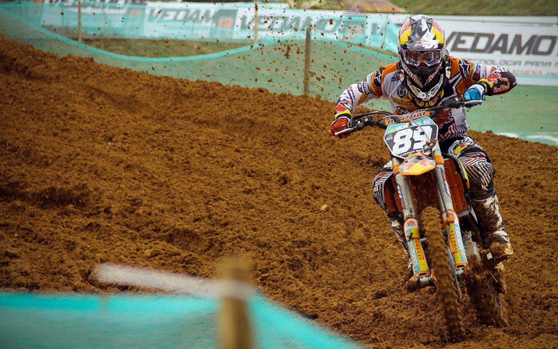 中国跳水队再创辉煌，包揽世锦赛全部金牌