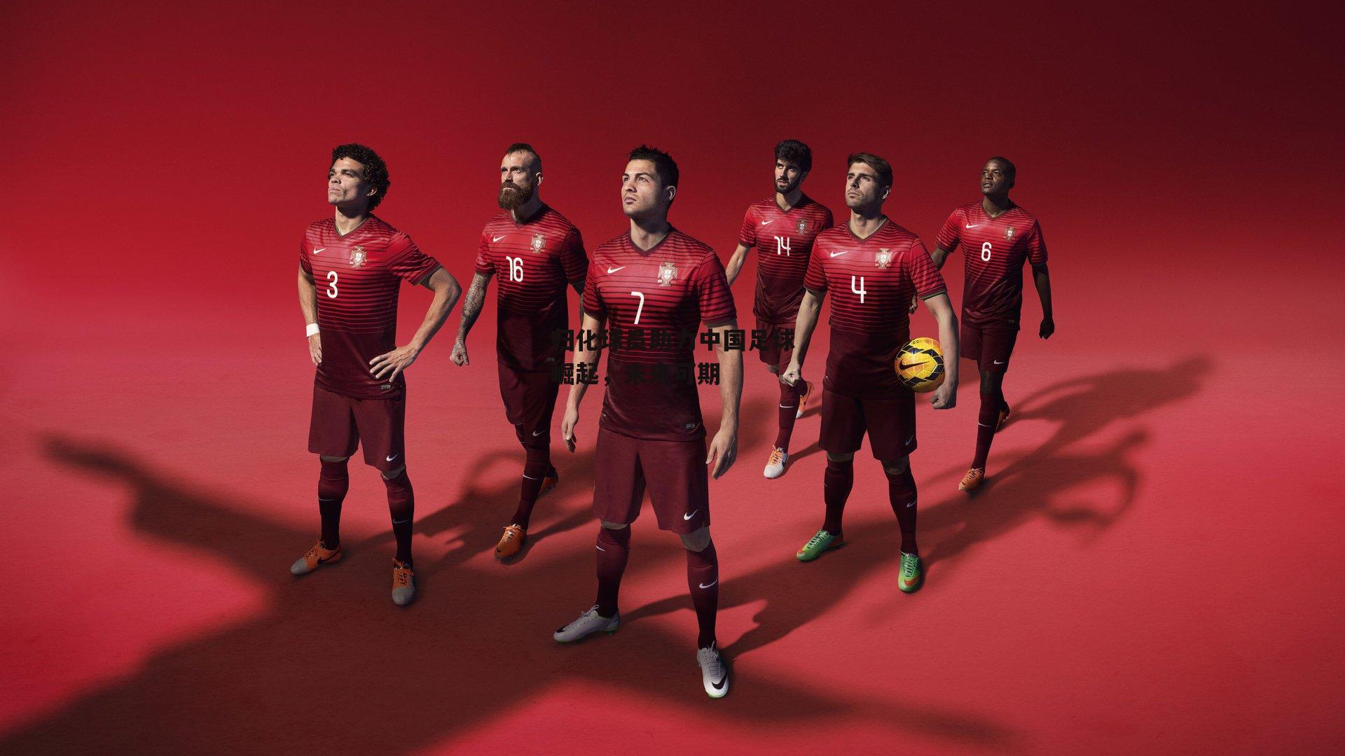 归化球员助力中国足球崛起,未来可期